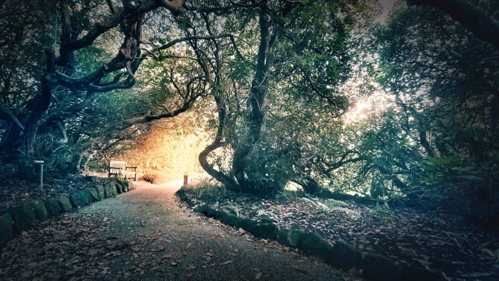 PŘEDPRODEJ: UCHOP SVOU SÍLU A TVOŘ SVŮJ ŽIVOT, JAKÝ CHCEŠ ŽÍT!