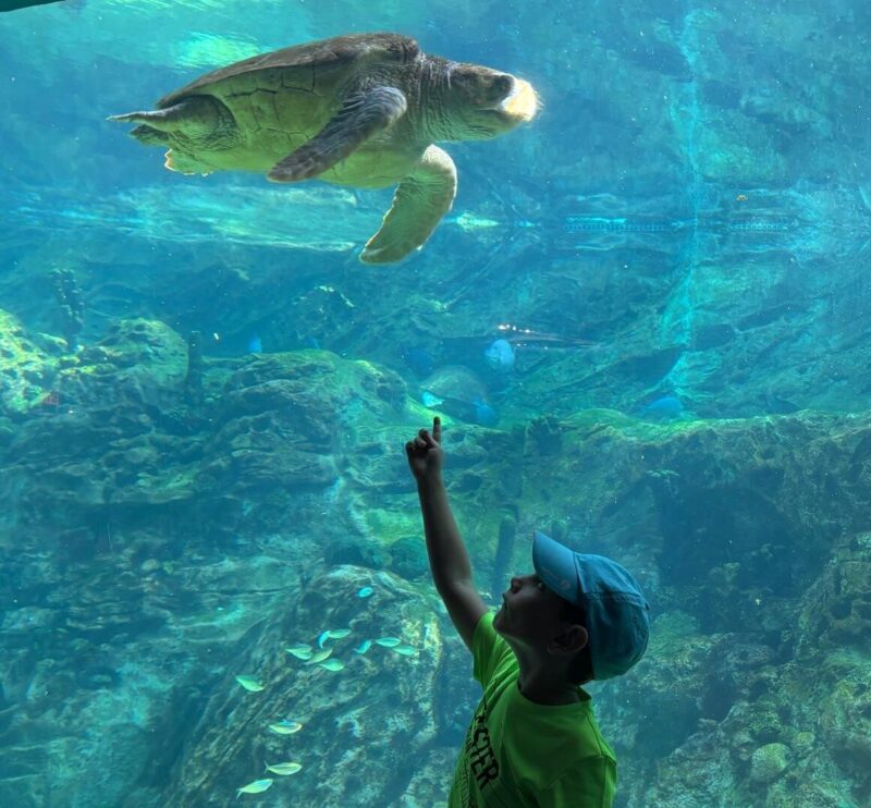 Kéž by byl svět takový, jak na dětské onkologii v Brně